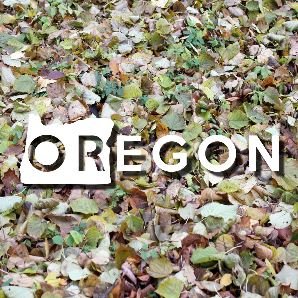 Oregon State Standard Decal