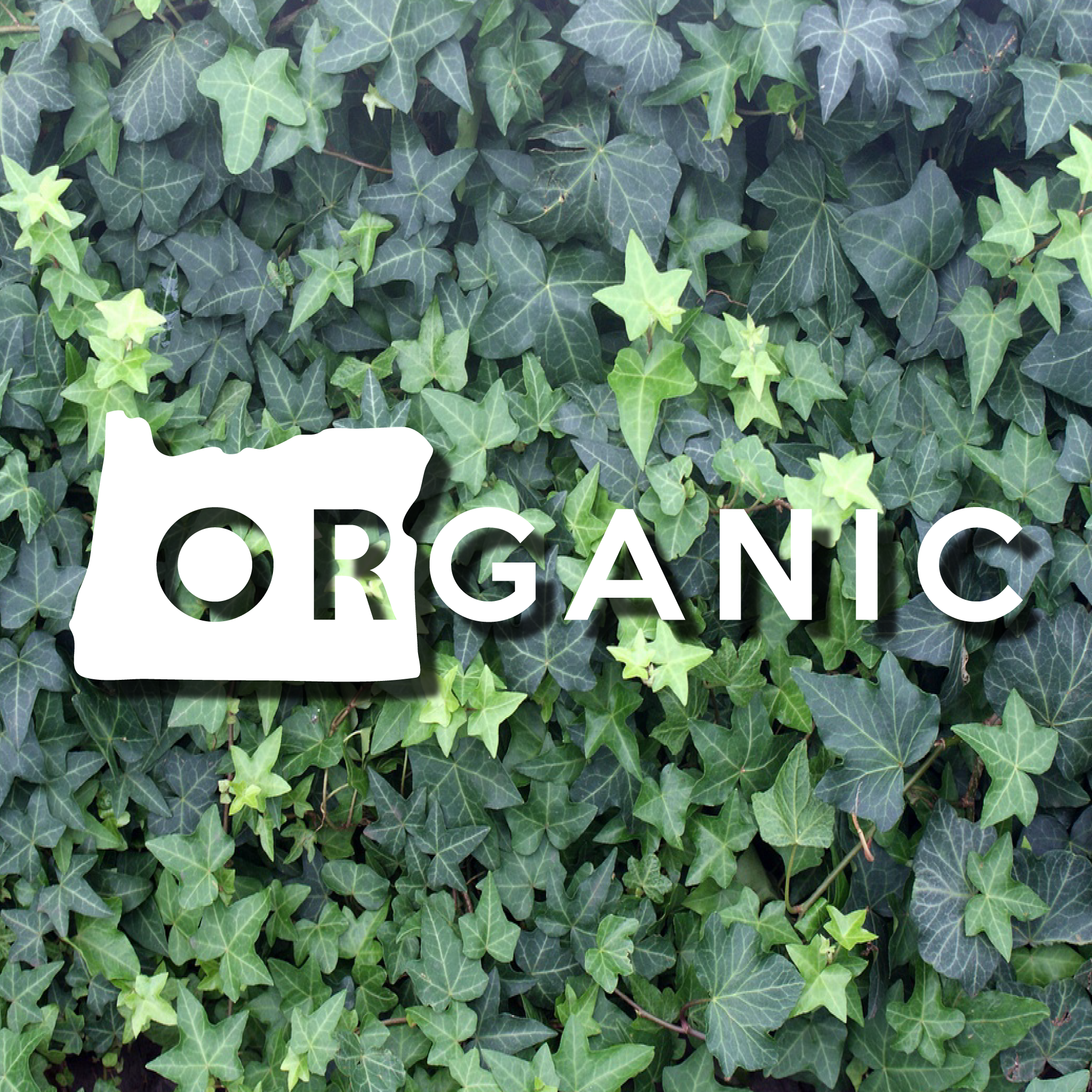 Oregon State ORGANIC Decal