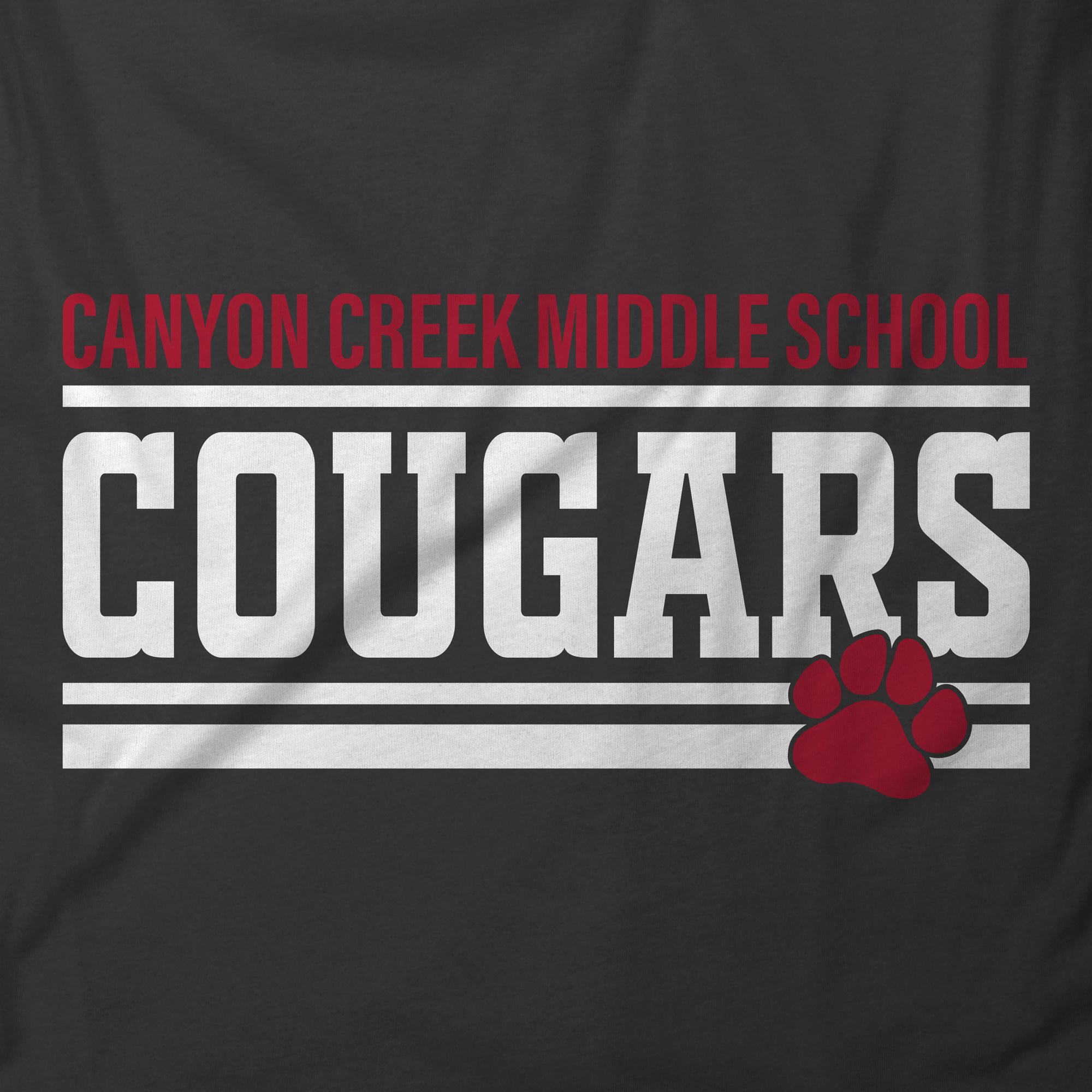CCMS Stripes T-shirt