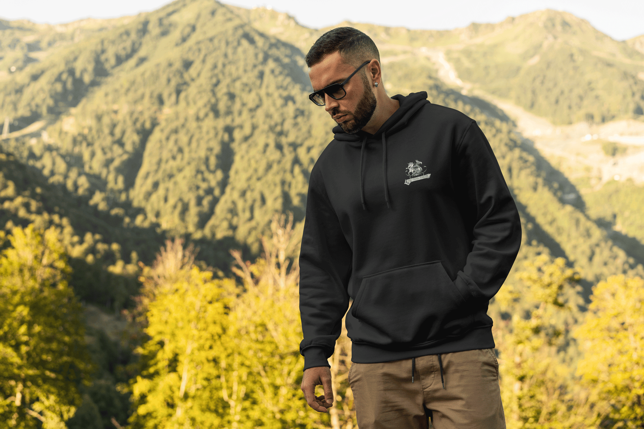 Hayes Freedom High School Standard Hoodie